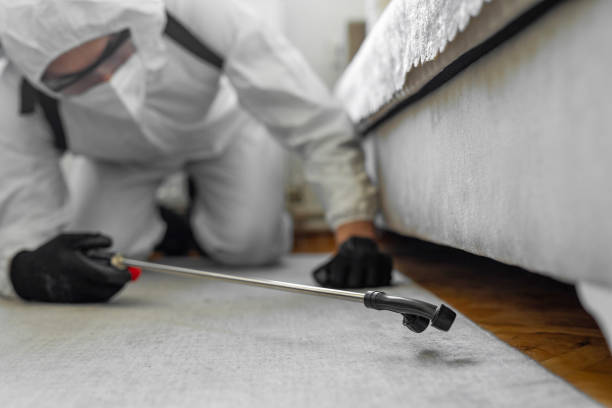 Professional Bed Bug Control technician working in Anahuac, TX