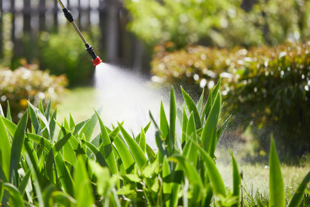 24/7 Emergency Bed Bug Control experts in Anahuac, TX