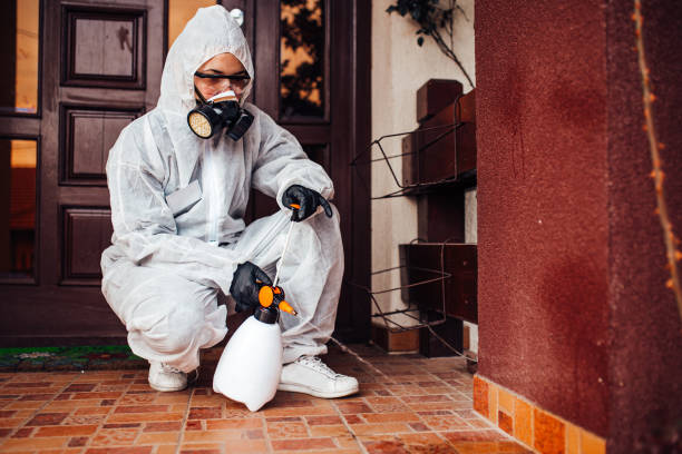 Reliable Bed Bug Control contractor in Anahuac, TX by Nex Pest Control